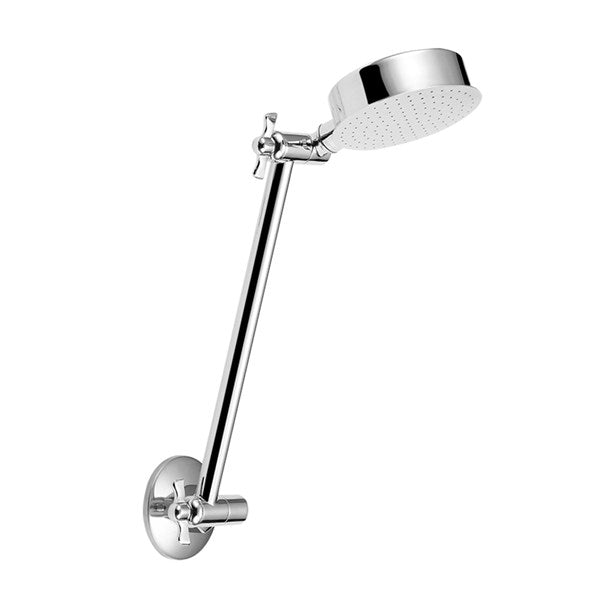 All Directional Shower Rose