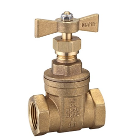 Product image of Gate Valve Brs T Lever 25mm Watermarked  