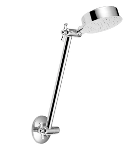 Product image of Shower All Directional Chrome